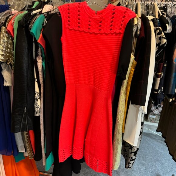 ted baker Other - ted baker gorgeous nee lenth pink rose dress